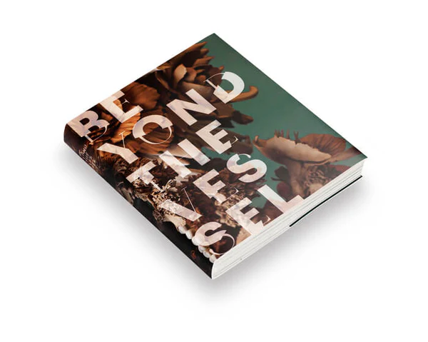 The book