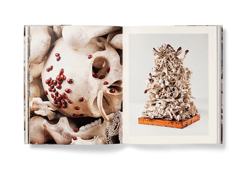 Spread — Bertozzi & Casoni