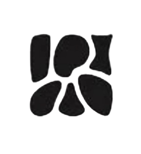 Appia final logomark designed by Esen Karol
